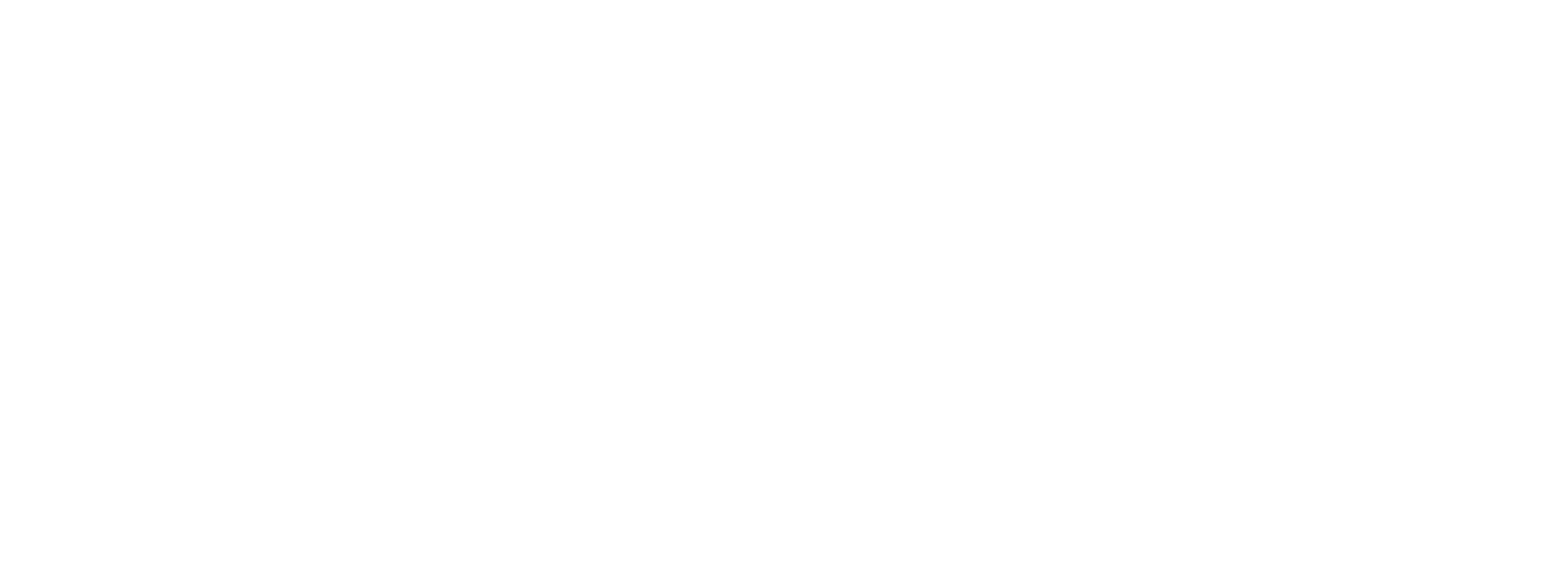 Southern Star Facility Services